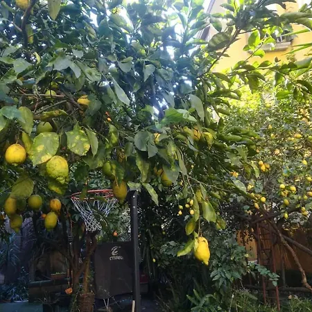 Apartament La Limonaia Di Chiaia Neapol
