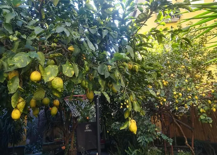 דירה La Limonaia Di Chiaia נאפולי