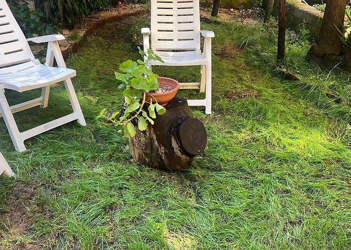 La Limonaia Di Chiaia *