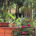 Διαμέρισμα La Limonaia Di Chiaia Νάπολη
