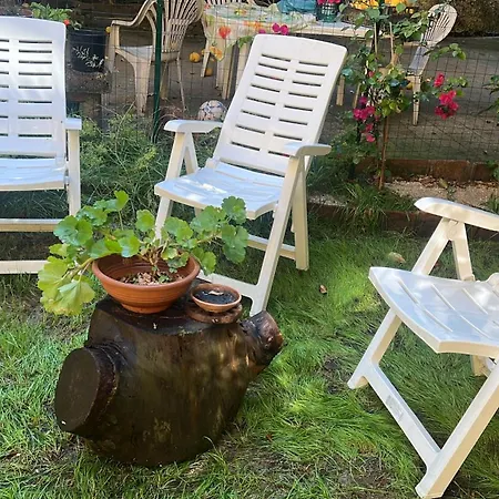 La Limonaia Di Chiaia * Naples