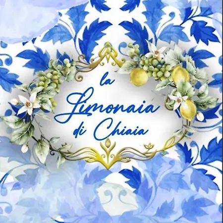 Lejlighed La Limonaia Di Chiaia Napoli