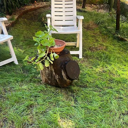 La Limonaia Di Chiaia *