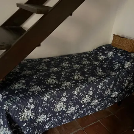 La Limonaia Di Chiaia Apartman