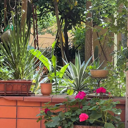 דירה La Limonaia Di Chiaia נאפולי