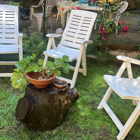 La Limonaia Di Chiaia * Nápoly